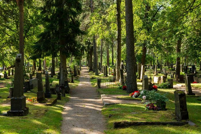 Old cemetery