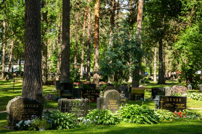 Old cemetery