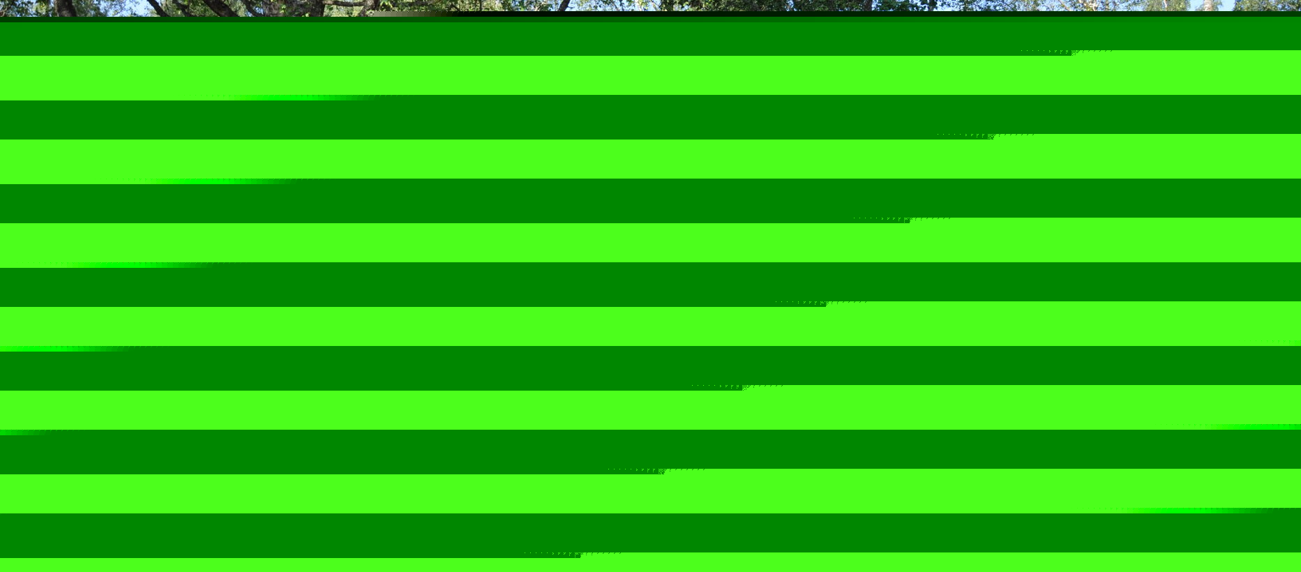 Nuijamaan hautausmaa Nuijamaan hautausmaa