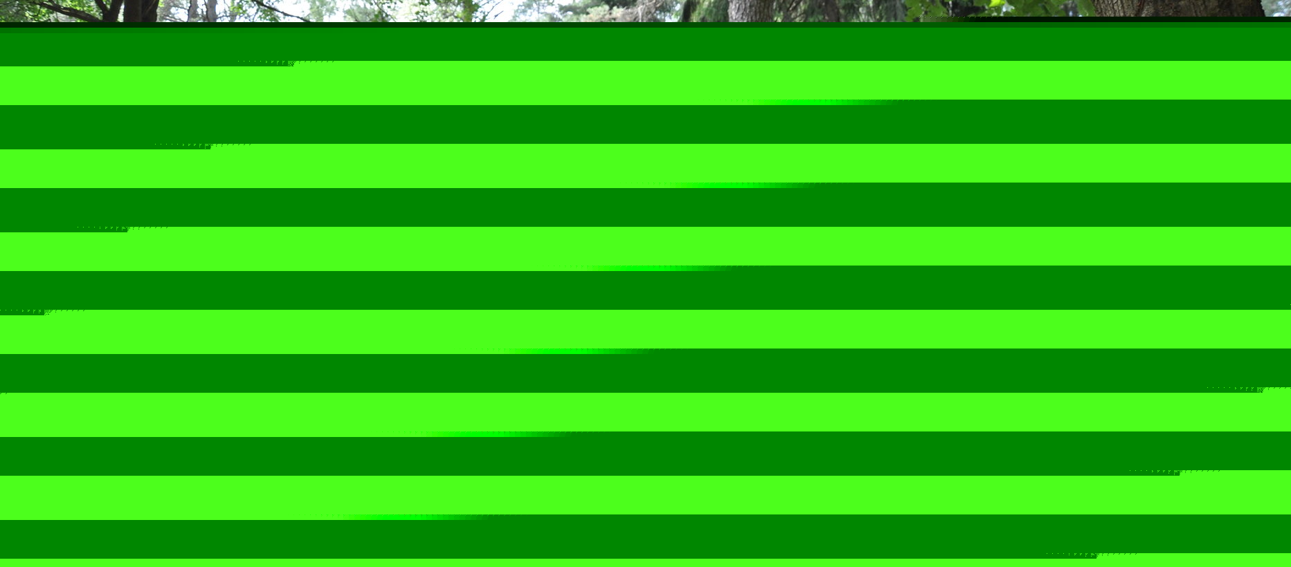 Vanha hautausmaa Vanha hautausmaa