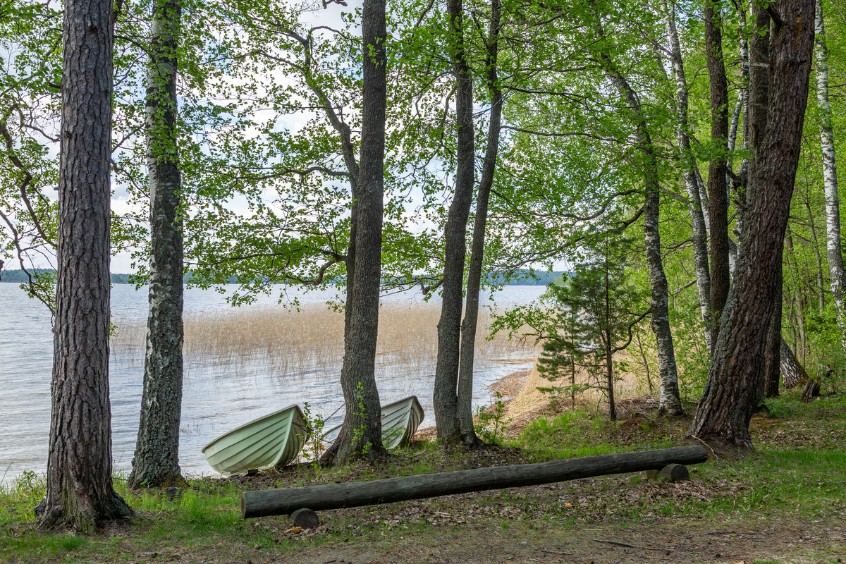 Piiluvan leirikeskuksen ranta.