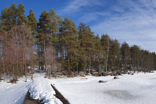 Avaa kuva isommaksi Kaislarannan ympäristöä.