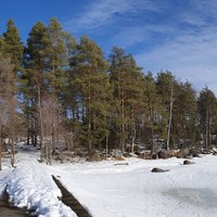 Avaa kuva isommaksi Kaislarannan ympäristöä.