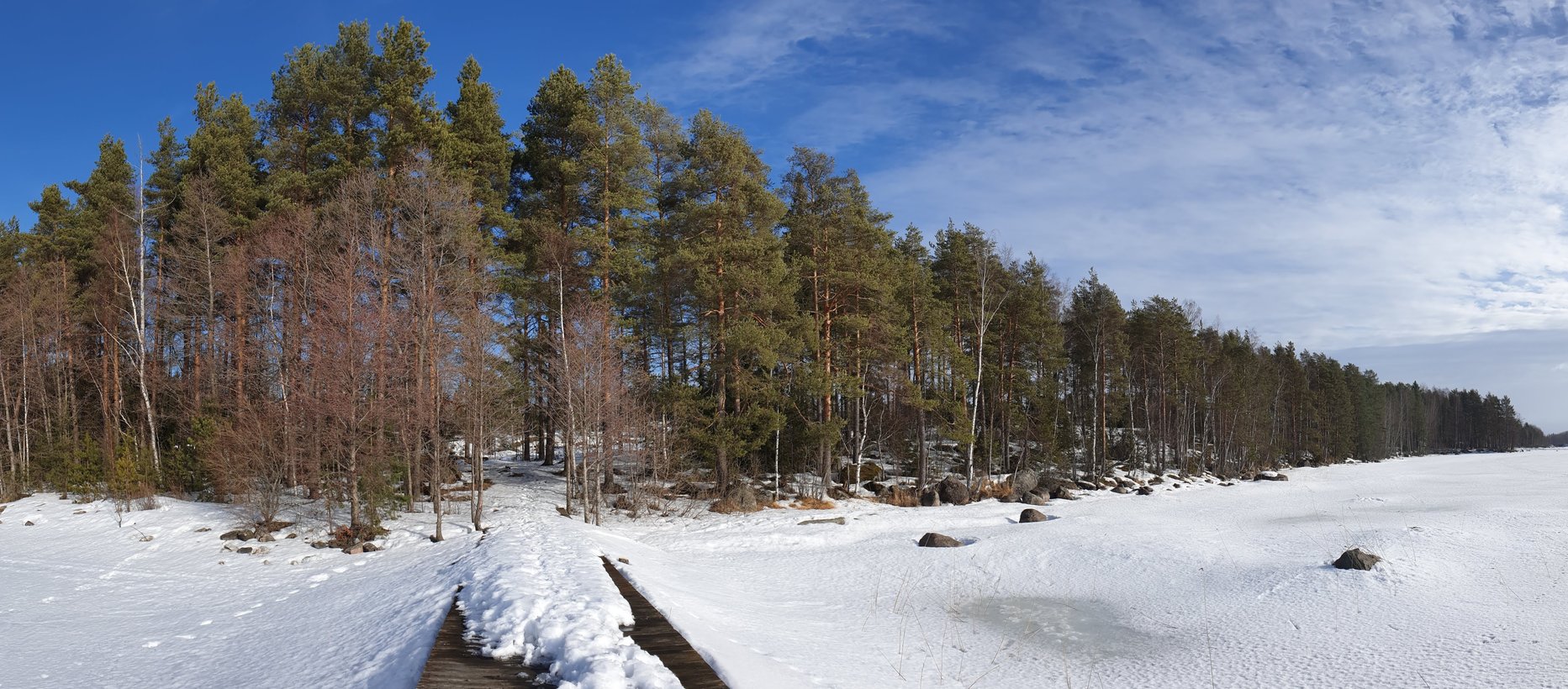 Avaa kuva isommaksi Kaislarannan ympäristöä.