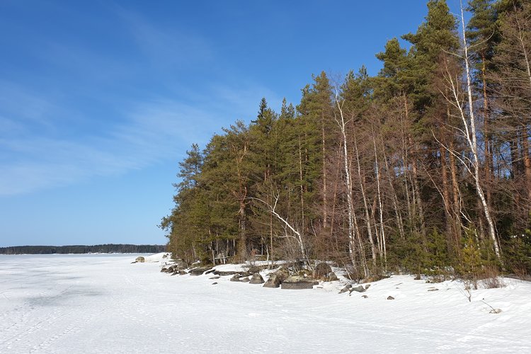 Avaa kuva isommaksi Kaislarannan ympäristöä.