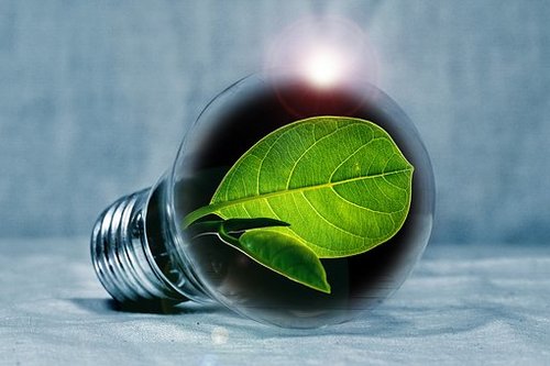 green light bulb, kuva: pixabay