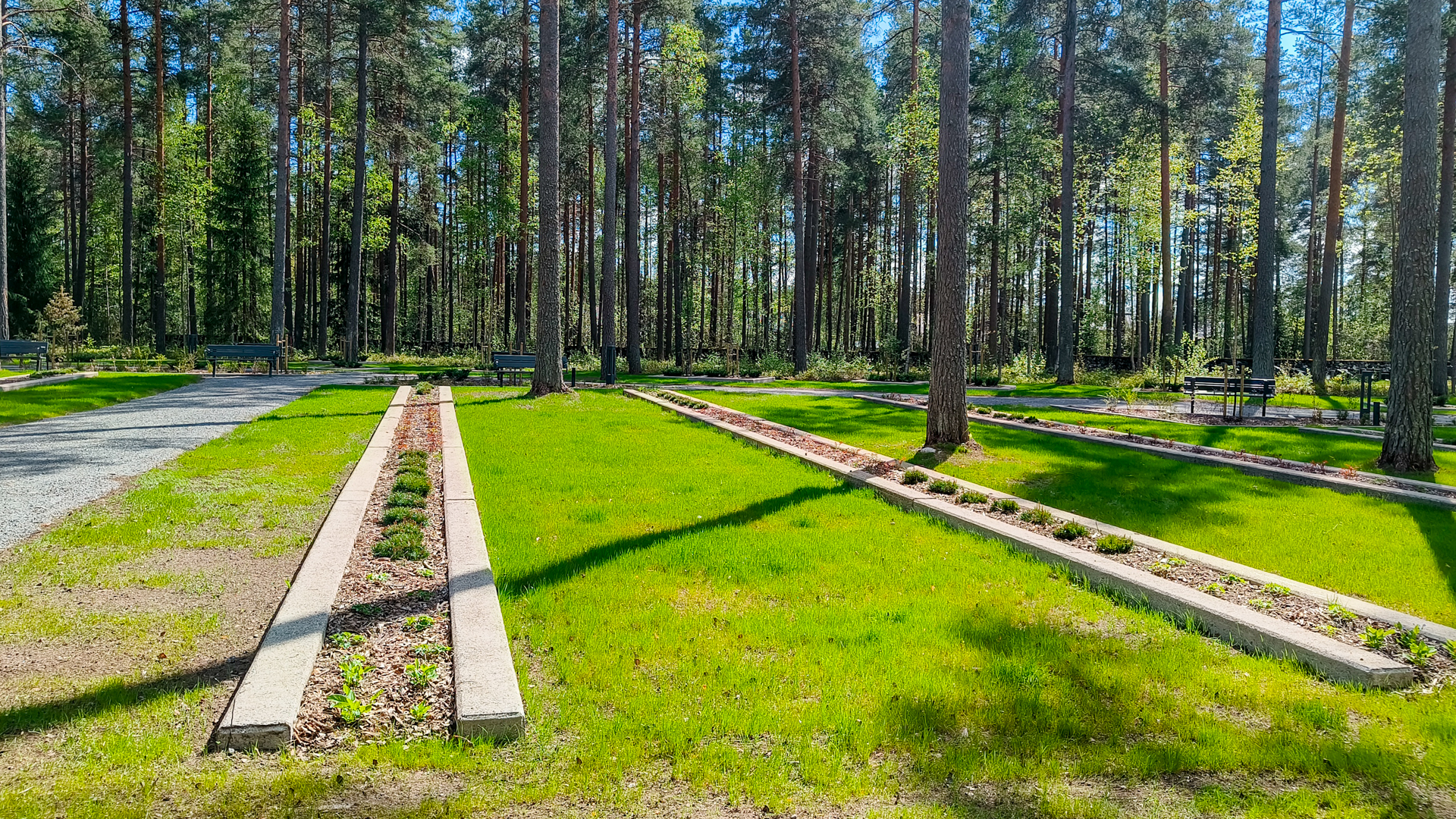 Kesäinen näkymä uudelle uurnasukuhauta-alueelle, jossa hautarivistön aluskivet johdattavat katsetta eteenpäin.
