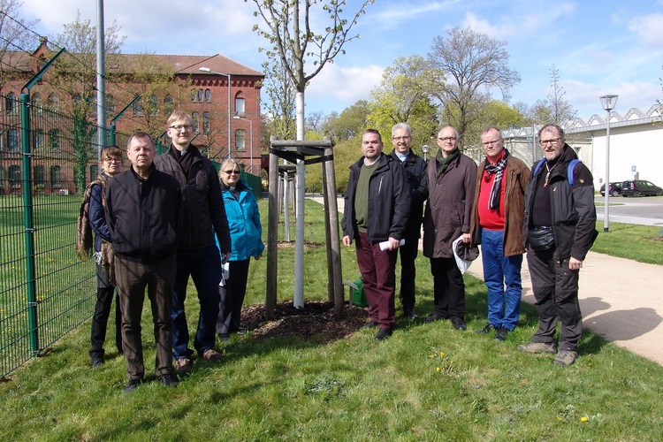 Johtoryhmä puun istutuksessa Wittenbergissä, Saksassa huhtikuussa 2016