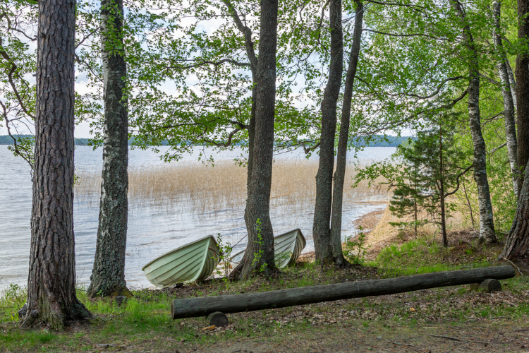 Piiluvan leirikeskuksen ranta.
